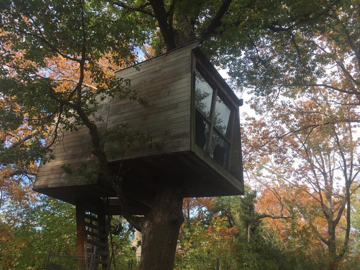 Casa Alaska Альсасуа Экстерьер фото
